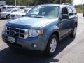 2010 Steel Blue Metallic Ford Escape XLT  photo #1