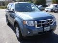 2010 Steel Blue Metallic Ford Escape XLT  photo #3