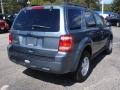 2010 Steel Blue Metallic Ford Escape XLT  photo #4