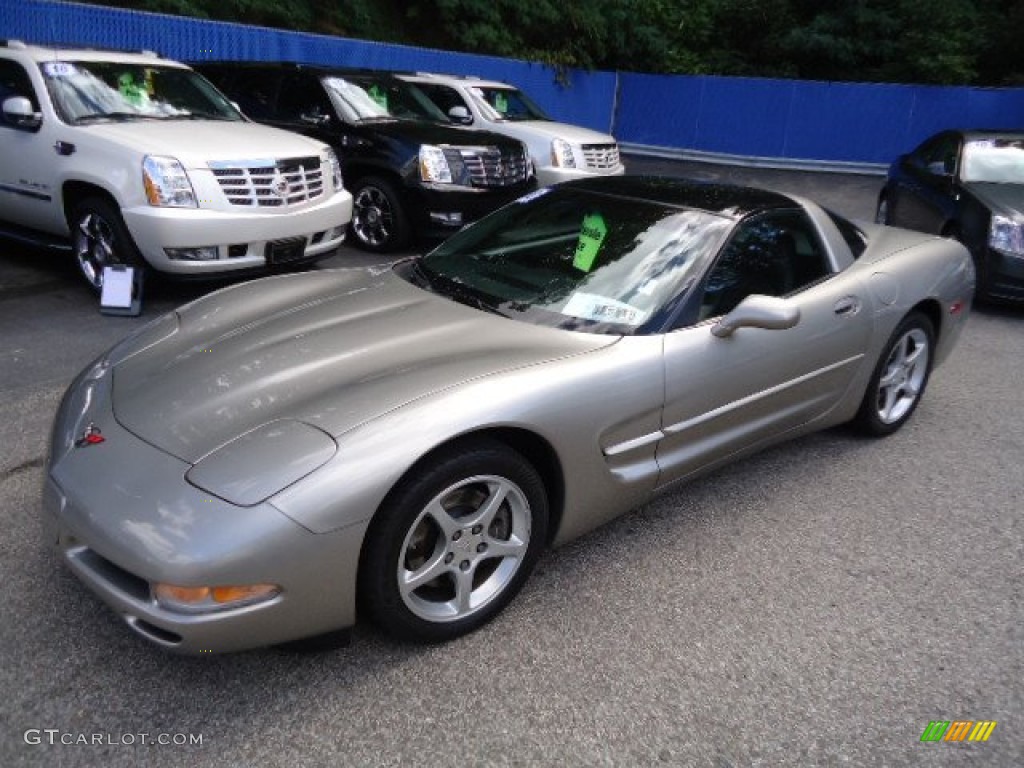 Light Pewter Metallic Chevrolet Corvette