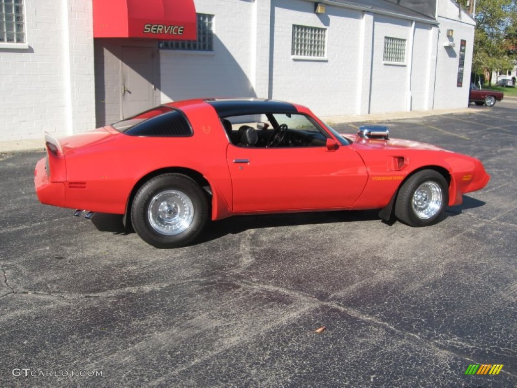 1979 Firebird Trans Am - Bright Red / Black photo #6