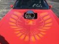 1979 Pontiac Firebird Trans Am Marks and Logos