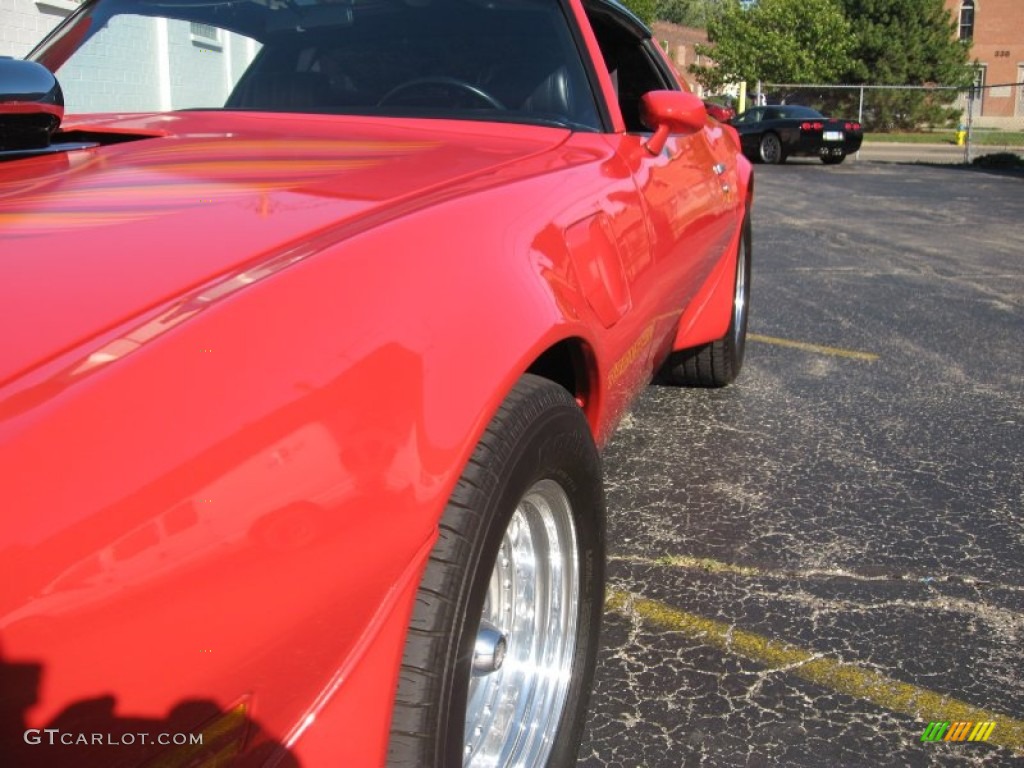 1979 Firebird Trans Am - Bright Red / Black photo #14