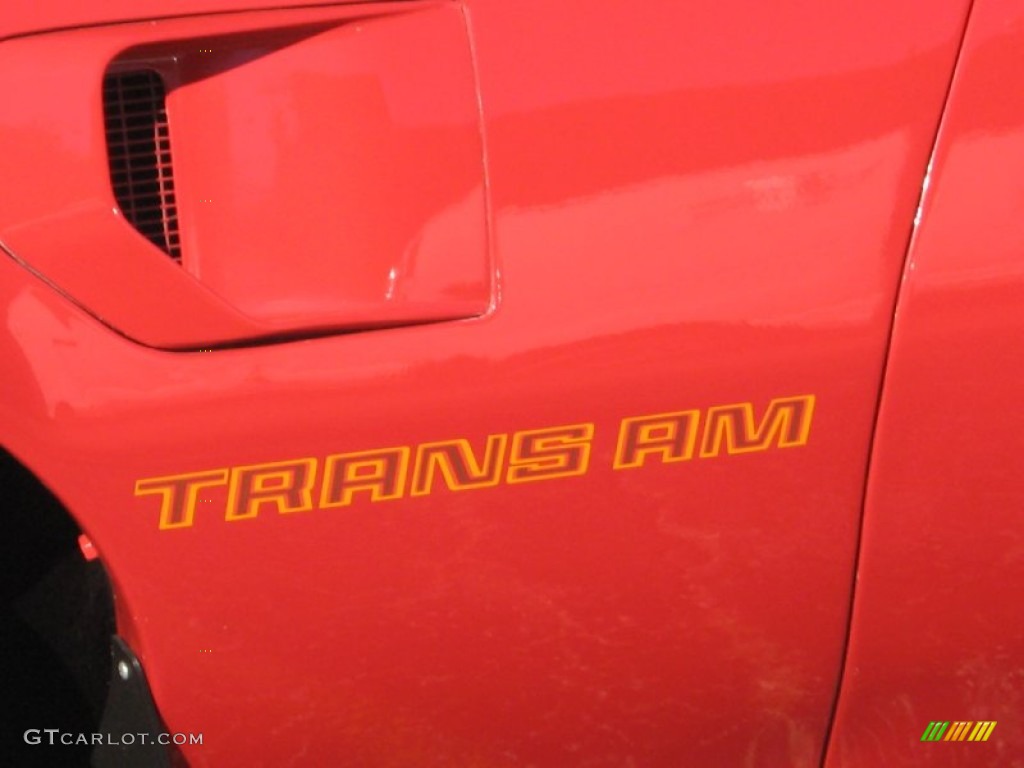 1979 Pontiac Firebird Trans Am Marks and Logos Photo #71317013