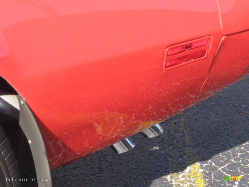 1979 Firebird Trans Am - Bright Red / Black photo #17