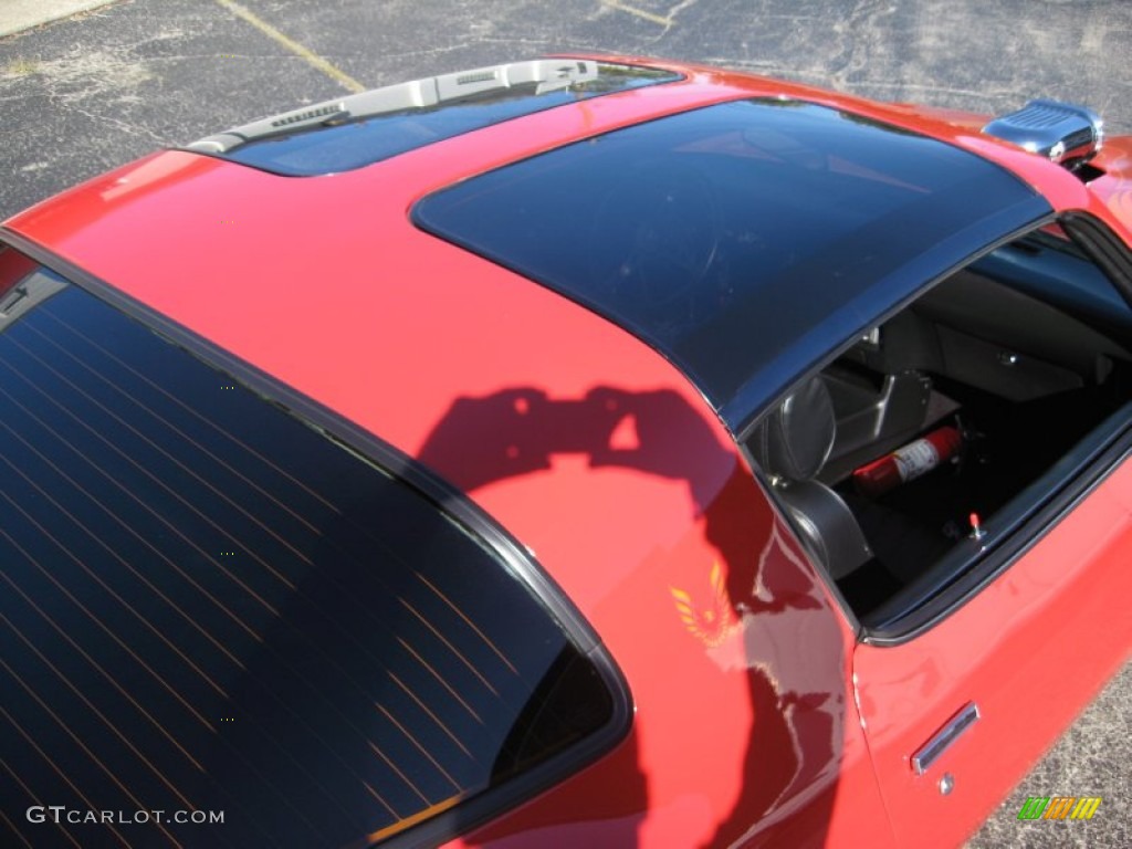 1979 Firebird Trans Am - Bright Red / Black photo #19