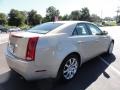 Gold Mist - CTS Sedan Photo No. 6