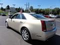 Gold Mist - CTS Sedan Photo No. 8