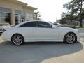 Arctic White - CL 550 Photo No. 11