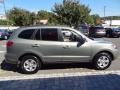 2009 Natural Khaki Hyundai Santa Fe GLS  photo #9