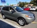 2009 Natural Khaki Hyundai Santa Fe GLS  photo #10