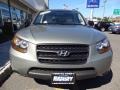 Natural Khaki - Santa Fe GLS Photo No. 12