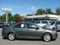 Cypress Green Pearl - Camry XLE Photo No. 1