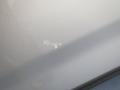 Bright Silver - Sorento LX Photo No. 22