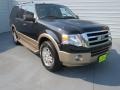 Tuxedo Black Metallic 2011 Ford Expedition XLT