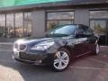Black Sapphire Metallic 2009 BMW 5 Series 528xi Sedan