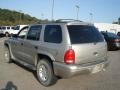 2002 Bright Silver Metallic Dodge Durango SLT 4x4  photo #4