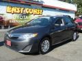 Magnetic Gray Metallic - Camry LE Photo No. 3