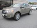 2013 Mineral Gray Metallic Ford Edge SEL  photo #2