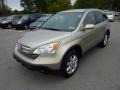 2007 Borrego Beige Metallic Honda CR-V EX-L 4WD  photo #3