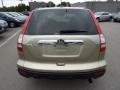 2007 Borrego Beige Metallic Honda CR-V EX-L 4WD  photo #6