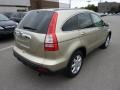 2007 Borrego Beige Metallic Honda CR-V EX-L 4WD  photo #7
