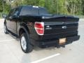 2009 Black Ford F150 FX4 SuperCrew 4x4  photo #7