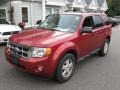 2009 Torch Red Ford Escape XLT V6 4WD  photo #3