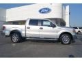 Ingot Silver Metallic 2013 Ford F150 XLT SuperCrew Exterior