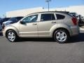 Light Sandstone Metallic - Caliber SXT Photo No. 3