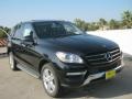 Black - ML 350 4Matic Photo No. 1