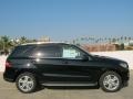 Black - ML 350 4Matic Photo No. 3
