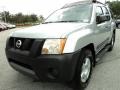 Silver Lightning Metallic - Xterra S Photo No. 14