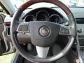 Light Platinum - CTS Sedan Photo No. 18