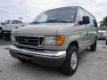 Gold Ash Metallic - E Series Van E350 Super Duty XLT Passenger Photo No. 6