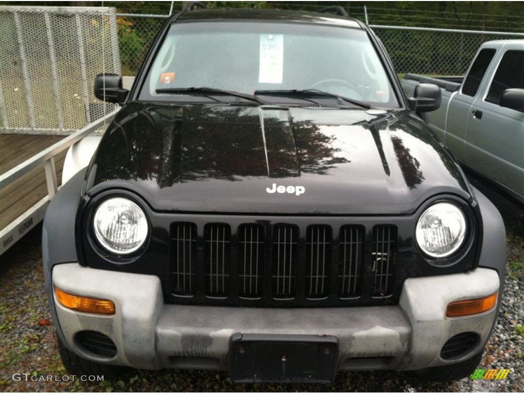 2002 Liberty Sport 4x4 - Black / Dark Slate Gray photo #2