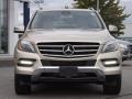 Pearl Beige Metallic - ML 350 4Matic Photo No. 2