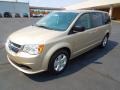 2013 Sandstone Dodge Grand Caravan SE  photo #2