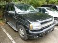 Black - TrailBlazer LS 4x4 Photo No. 1