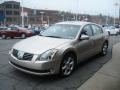 Coral Sand Metallic - Maxima 3.5 SE Photo No. 4