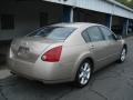 Coral Sand Metallic - Maxima 3.5 SE Photo No. 8