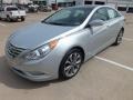 2013 Radiant Silver Hyundai Sonata Limited 2.0T  photo #9