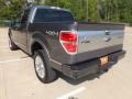 2012 Sterling Gray Metallic Ford F150 Platinum SuperCrew 4x4  photo #7