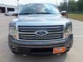 2012 Sterling Gray Metallic Ford F150 Platinum SuperCrew 4x4  photo #10