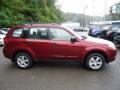 Camellia Red Pearl - Forester 2.5 X Photo No. 5