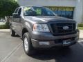 2005 Dark Shadow Grey Metallic Ford F150 FX4 SuperCrew 4x4  photo #9