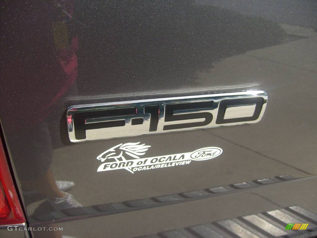 2005 F150 FX4 SuperCrew 4x4 - Dark Shadow Grey Metallic / Black photo #10