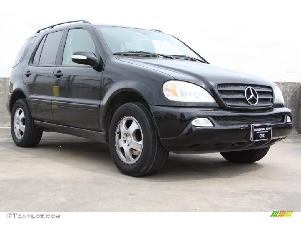 2003 ML 350 4Matic - Black / Java photo #1