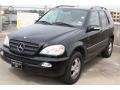Black - ML 350 4Matic Photo No. 3