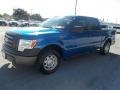 2010 Blue Flame Metallic Ford F150 XL SuperCrew  photo #7